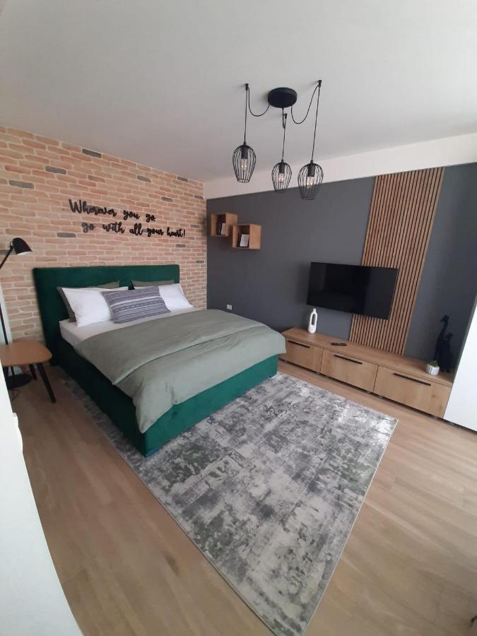 City Center View Studio Apartment 1 Temesvár Kültér fotó