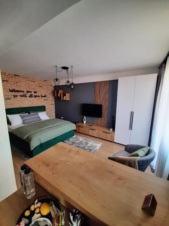 City Center View Studio Apartment 1 Temesvár Kültér fotó