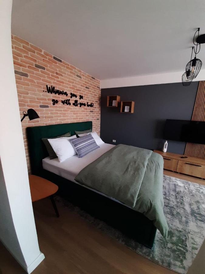 City Center View Studio Apartment 1 Temesvár Kültér fotó